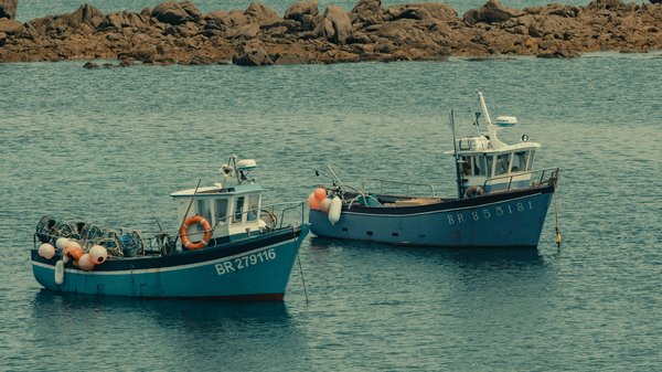 Où découvrir les traditions de la pêche artisanale en Bretagne ?